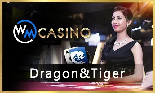 Exclusive Promotions & Bonuses